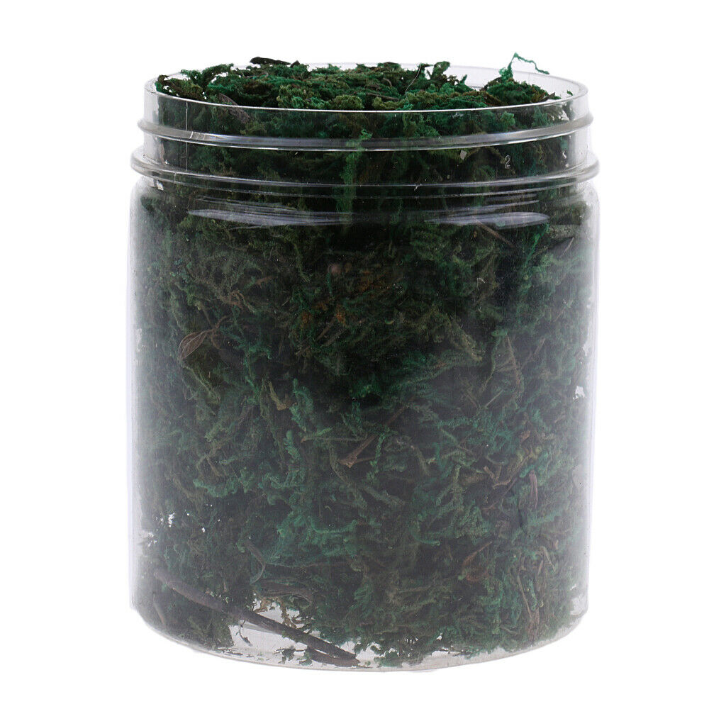 Military Armor/RR Scenery Terrain Vegetation Grass Models Green 500ML