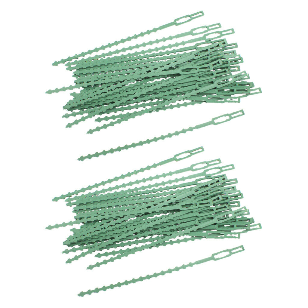 60pcs 16.5cm Plastic Cable Ties Gardening