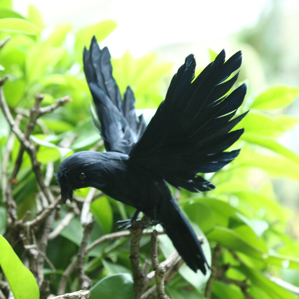 Black Realistic Flying Crow Decoy Hunting Birds Decoy Weed Pest Control