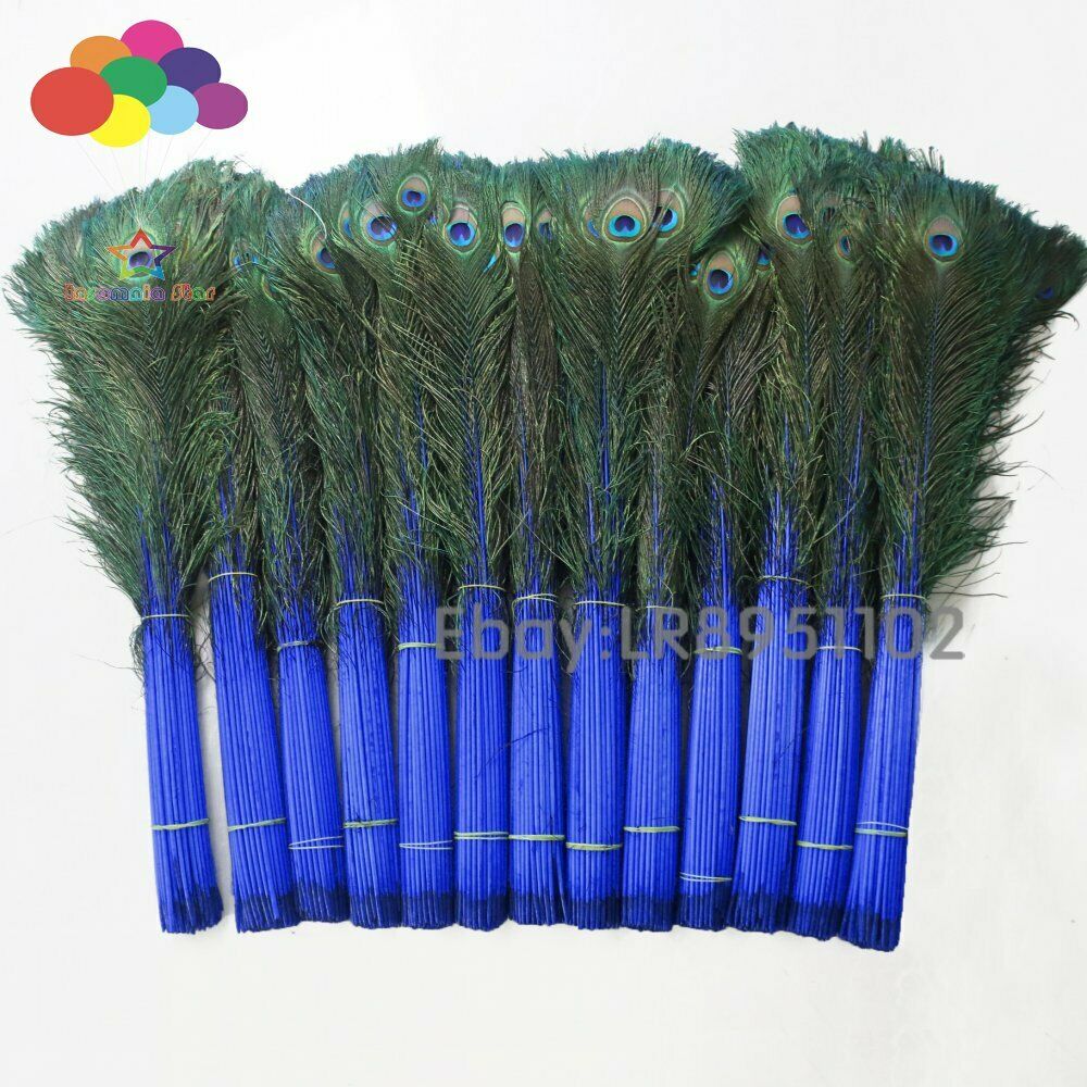 100 Pcs sapphire Real Peacock Feathers 70-80cm Feathers for Crafts Wedding