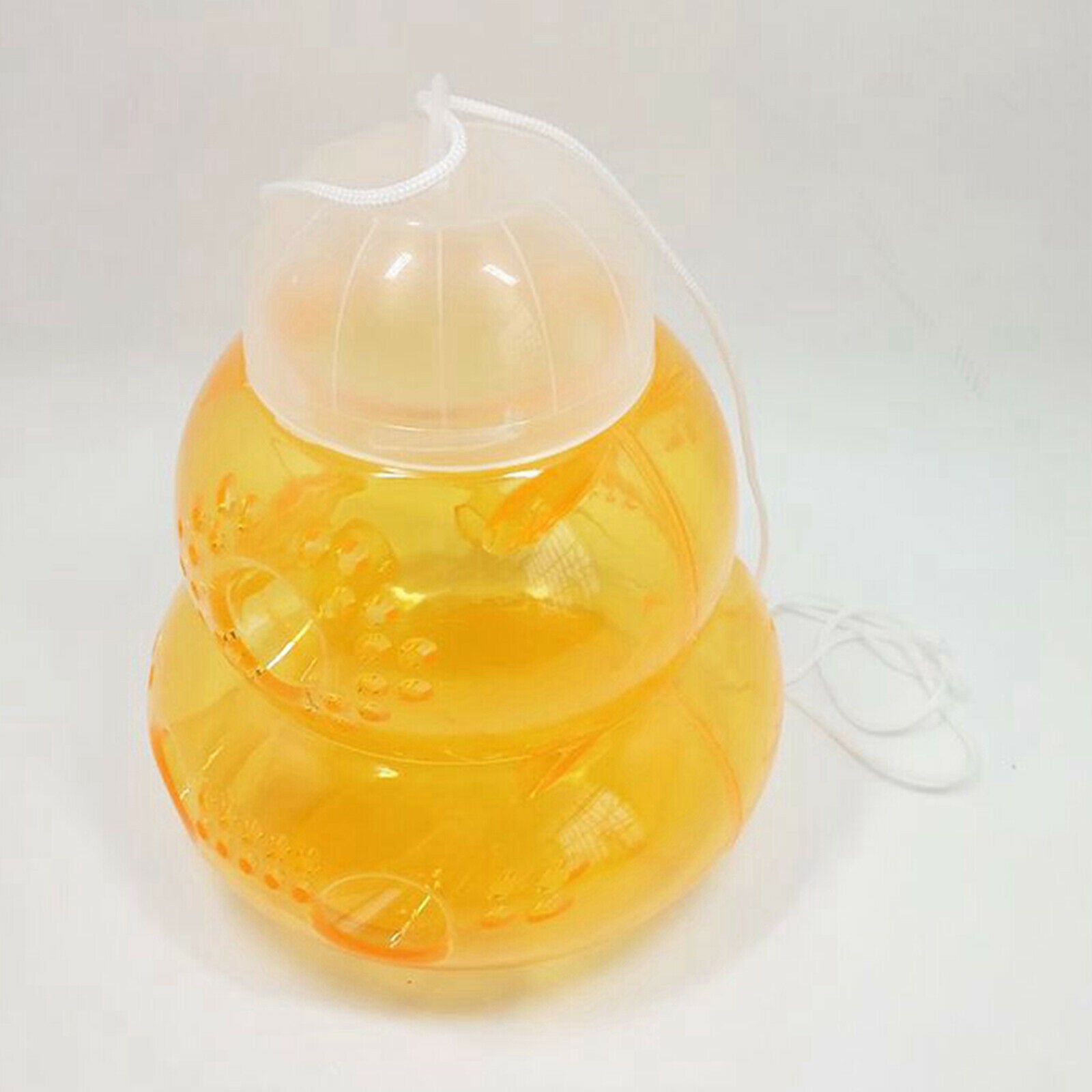 6pcs Beehive Wasp Trap Yellow Jackets Repellent Trap Traps for Home Garden
