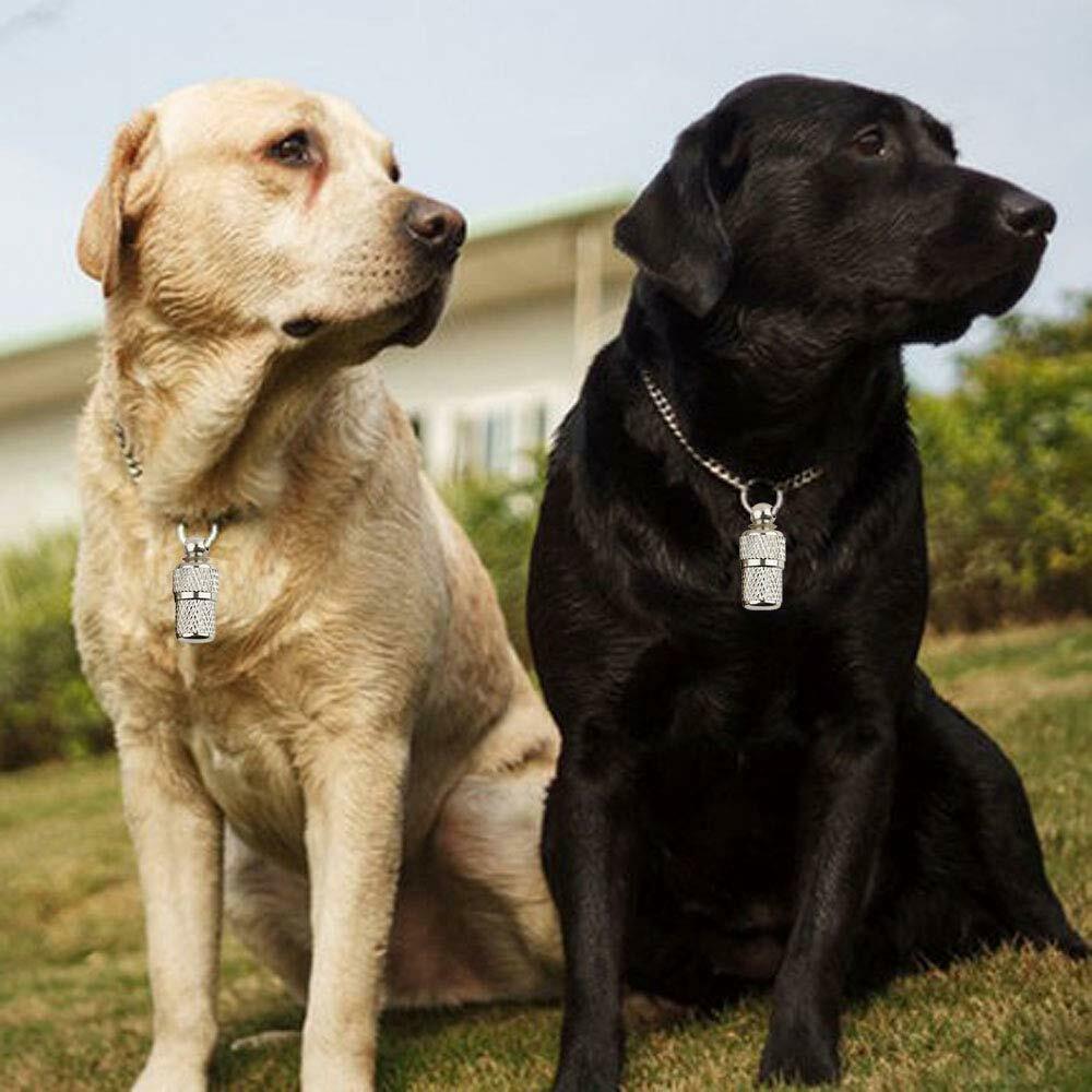 2Pcs Anti-Lost Pet Dog Cat Puppy ID Address Name Label Tag Barrel Collar Tube US