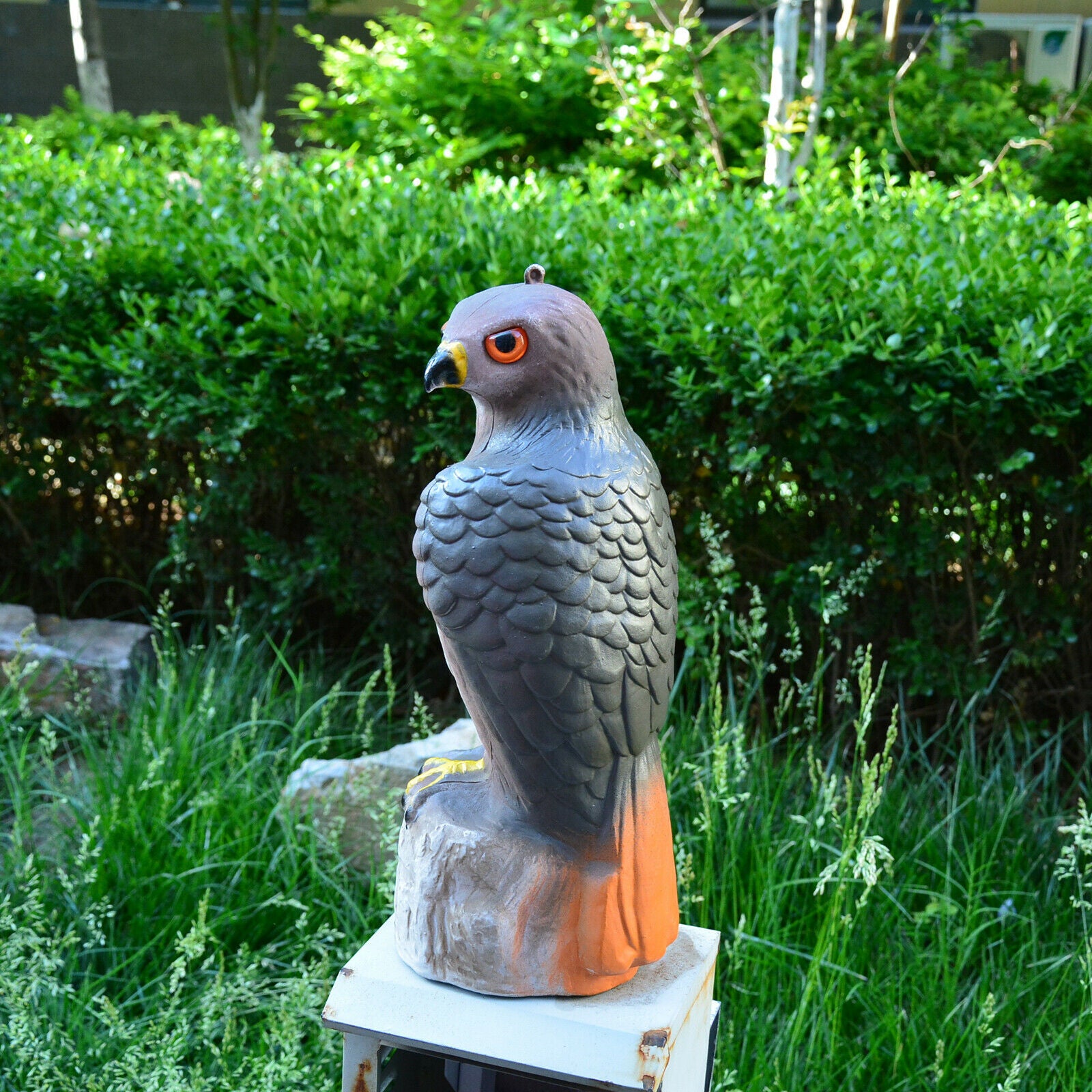 Hawk Hunting Bird Scare Repellent Decoy Statue Garden Ornamental Pest Help