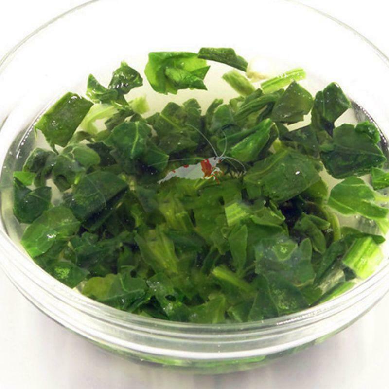 Aquarium Fish Food Freeze Dried Natural Spinach Granules for Crystal Red Shrimp