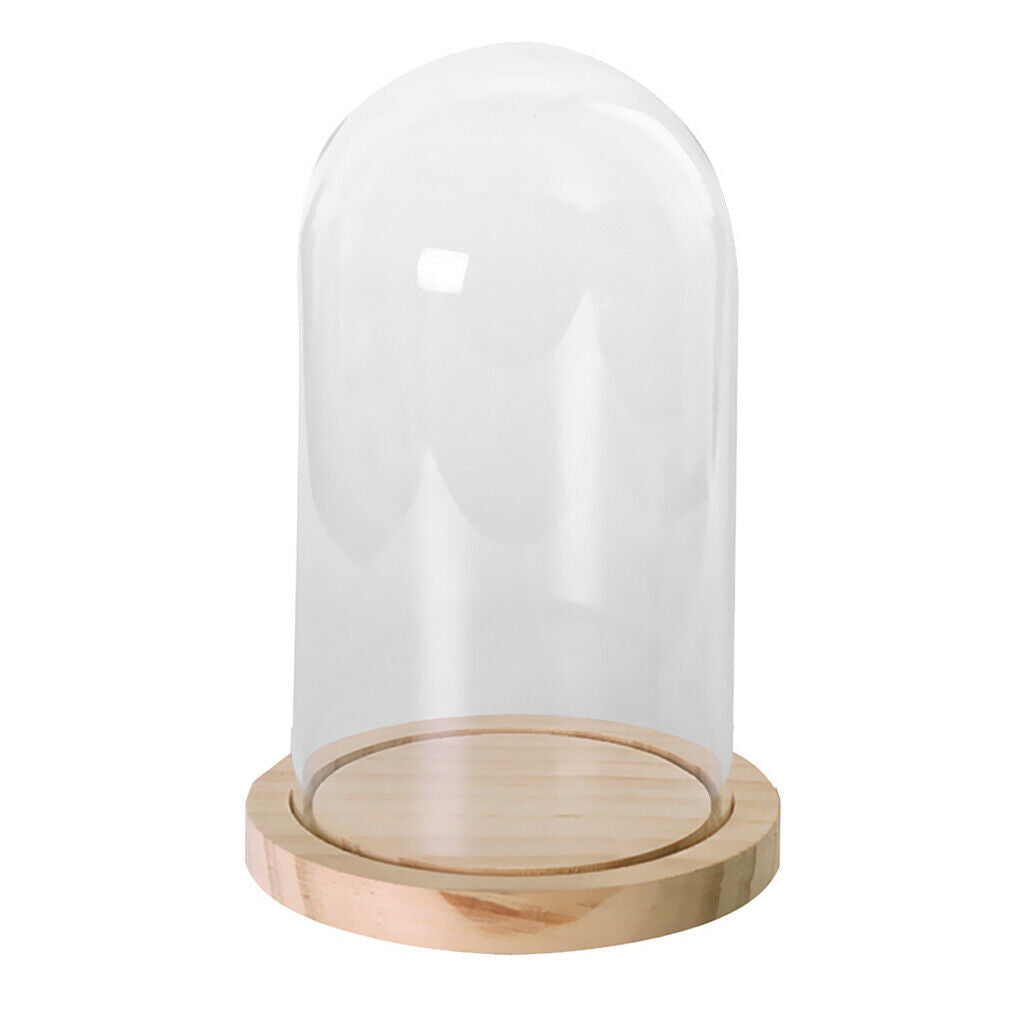 Glass Cover Landscape Vase Terrarium Round Wood Tray Flower Decor Gift L