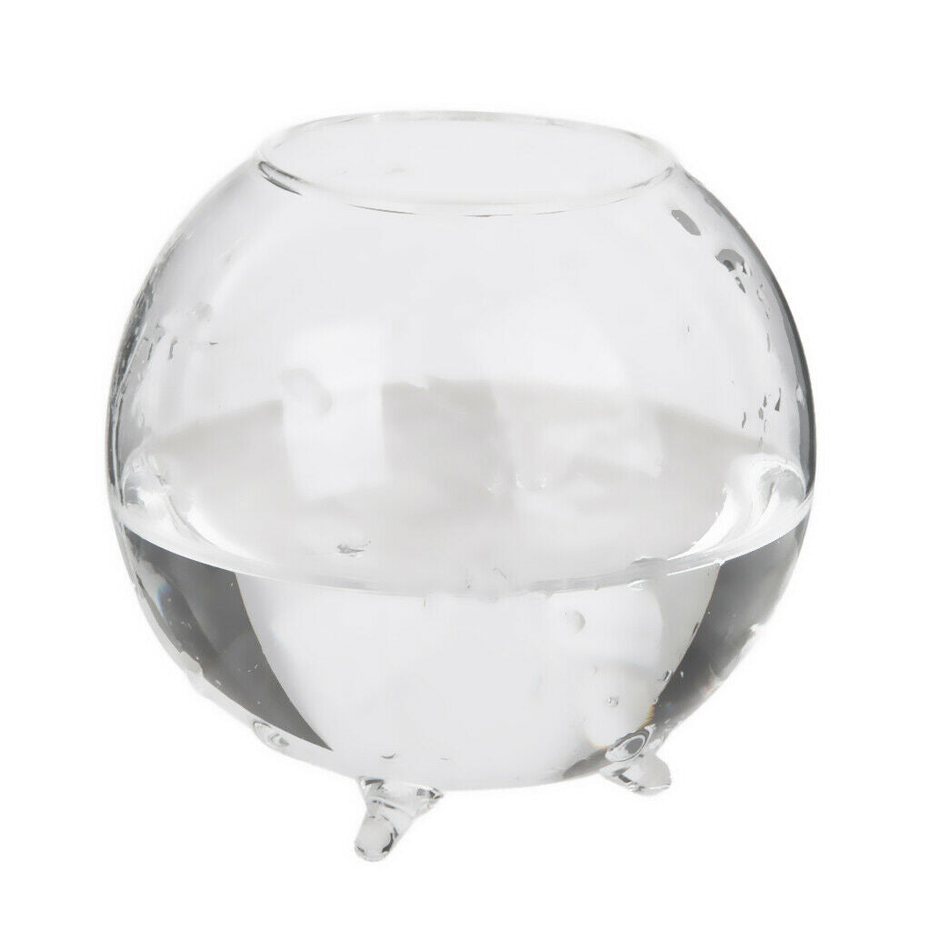 6pcs Standing Glass Hydroponic Flowers Vase/ Fairy Garden DIY Terrarium