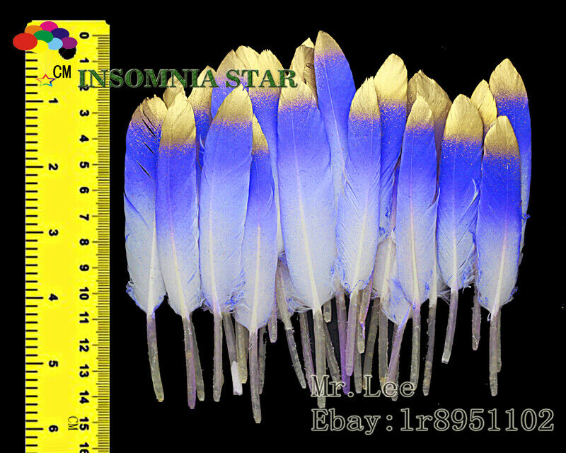 New 100pcs Beautiful Sapphire Colorful Natural Goose Feather 10-15cm/4-6 inches