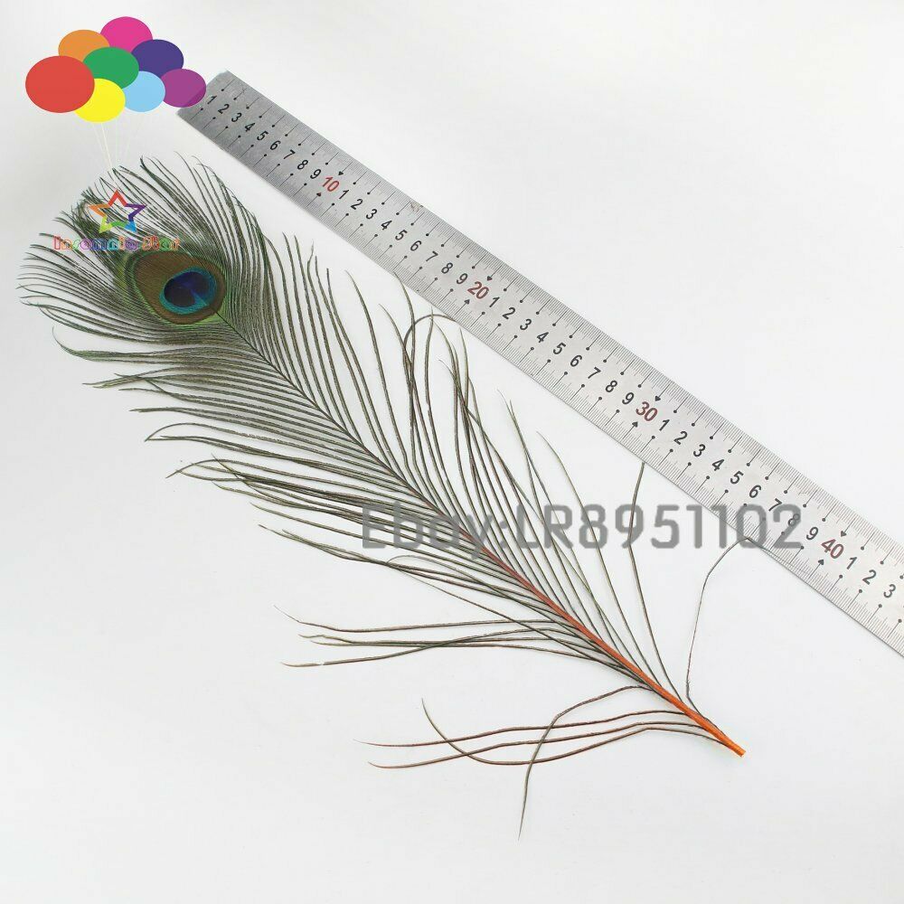 Peacock Feathers 100 Pcs / lot Length 40-45 CM Beautiful orange Diy Jewelry Deco