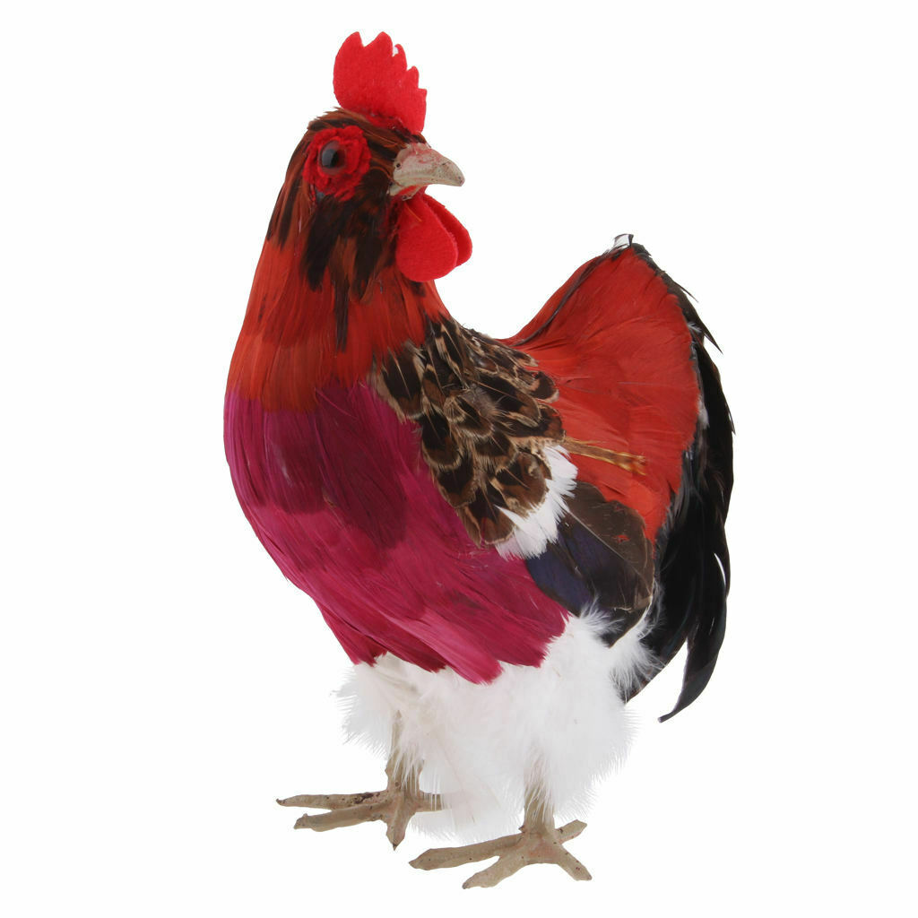 Rooster Chicken Farm Animals Feathers Prop or Decoration, 24x20cm
