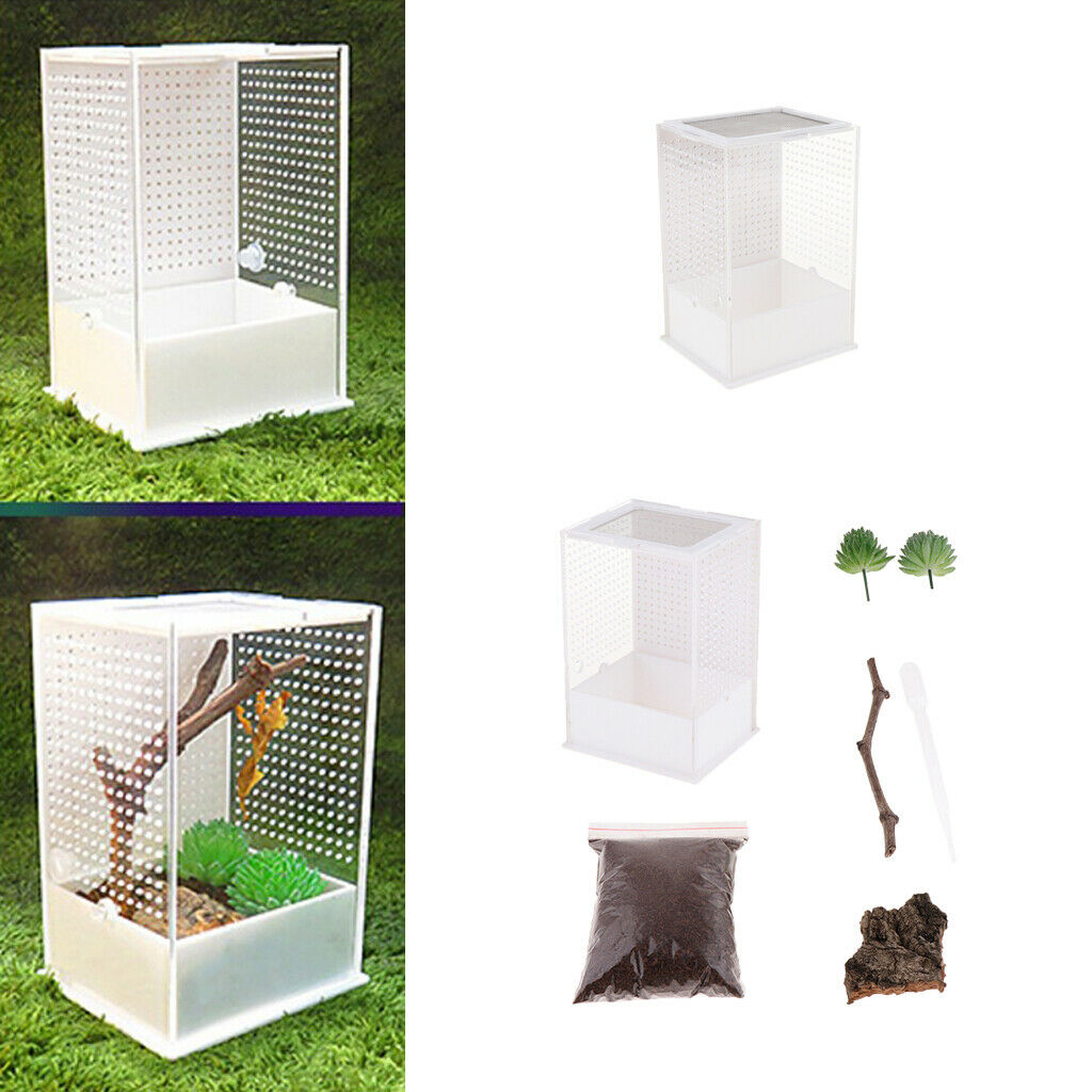 2x Reptile Feeding Box Transparent Cage Hatching Container for Lizard Frog 1