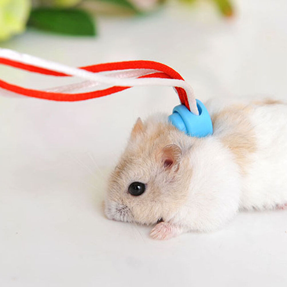 Adjustable Leash Collar Guinea Pig Small Pets Lead Pet Hamster Traction R.l8