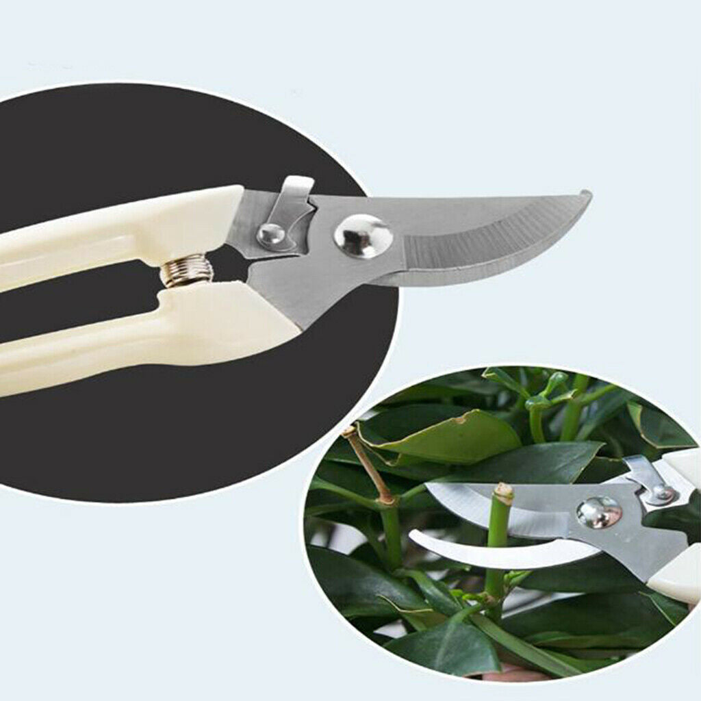 High Performance Secateurs Secateurs Secateurs, Hand Shears, Rustproof