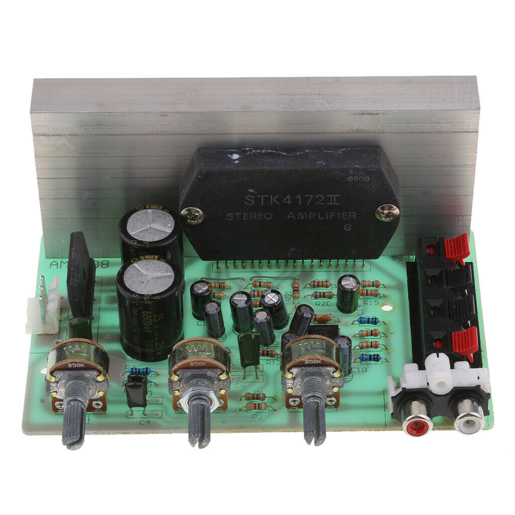 100W DC 12V Dual Channel Digital Amplifier Board Power Amplifier Circuit Board