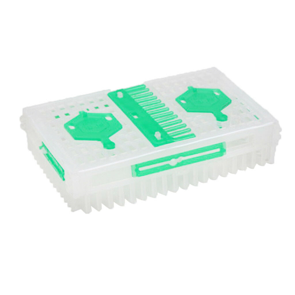 Beekeepers White Green Queen Bee Needle Isolator Cage Double Cages Design