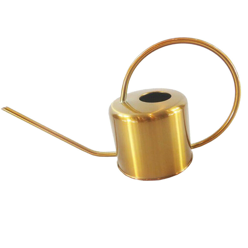 Golden Houseplant Watering Can Long Spout for Flower Bonsai Modern Style