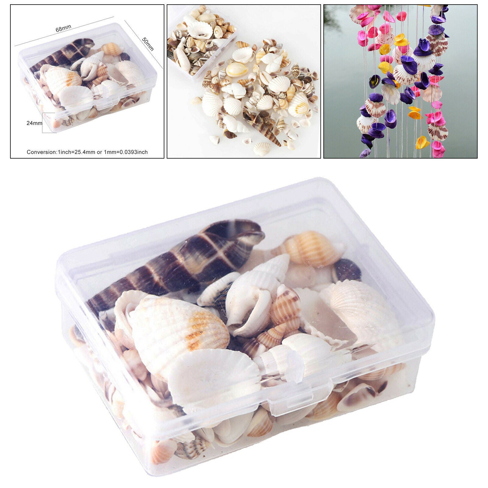 Sea Shell Natural Conch Shells Beach Seashells for Fishes Tank Aquarium