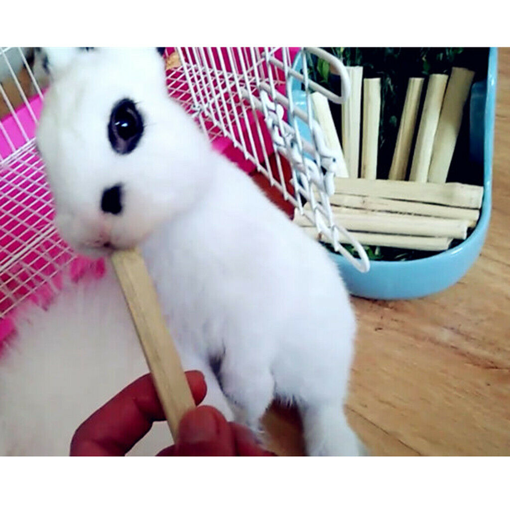 Natural Sweet Bamboo Chew Toys Small Animal Snacks For Rabbit ...