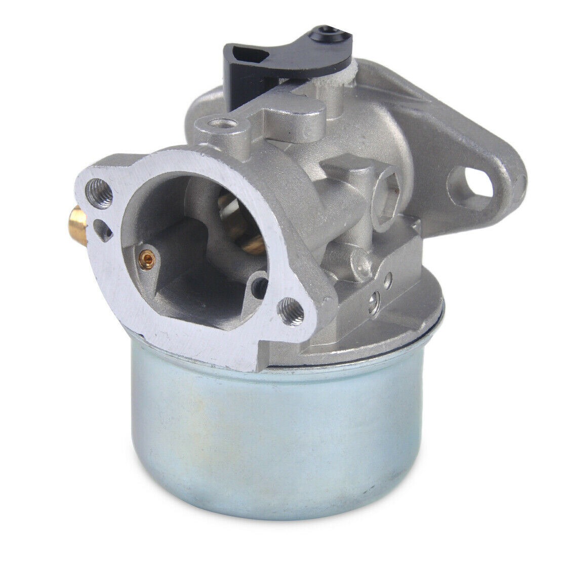 Carburetor & Gaskets Fit for Briggs & Stratton 799868 498170 498254 497314 An