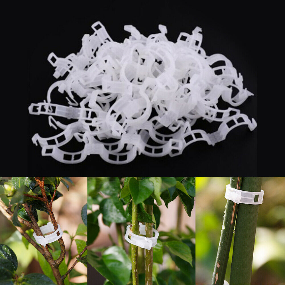 50Pc Garden Supplies Plant Clips Plant Fixing Clips Garden Plants  Clamping Tool
