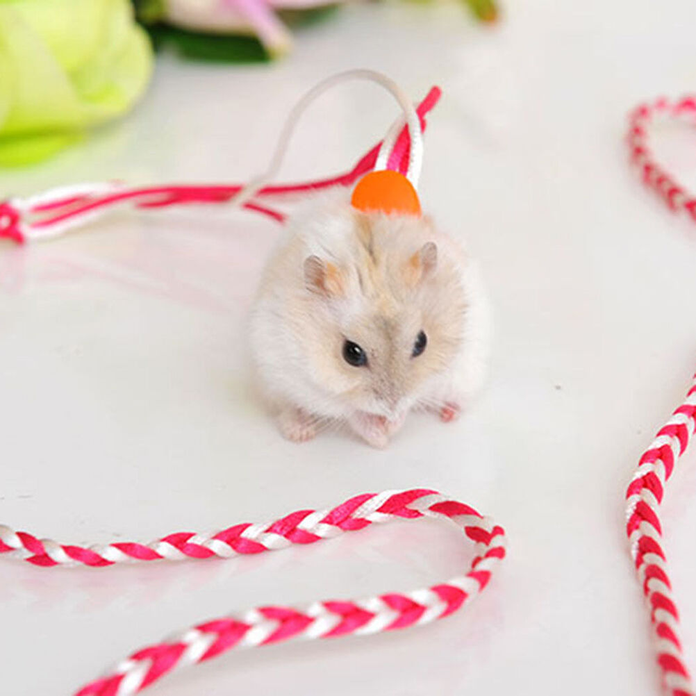 Adjustable Leash Collar Guinea Pig Small Pets Lead Pet Hamster Traction R.l8