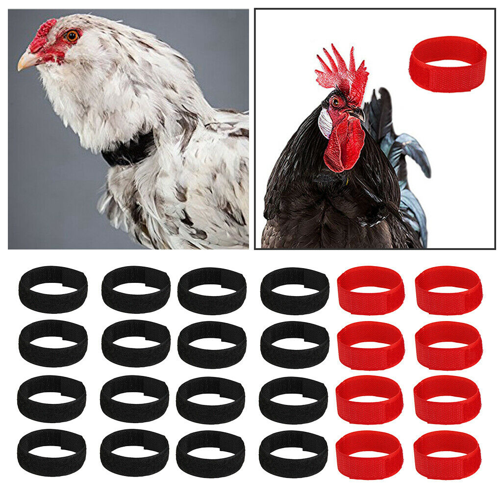 24Pcs No Crow Collar for Roosters Chicken No Crowing Belt Neckband Black&Red