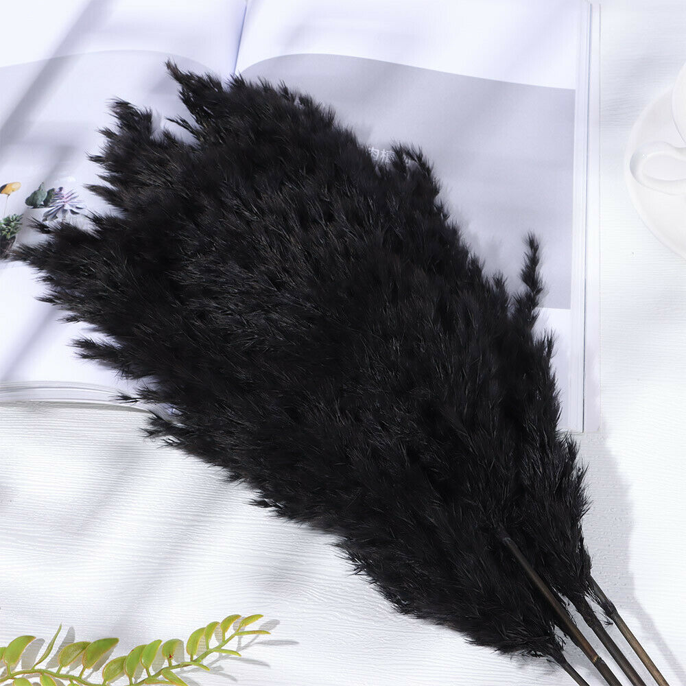 Material Pampas Grass Real Flower Reed Natural Dried Bouquets Plant Stems