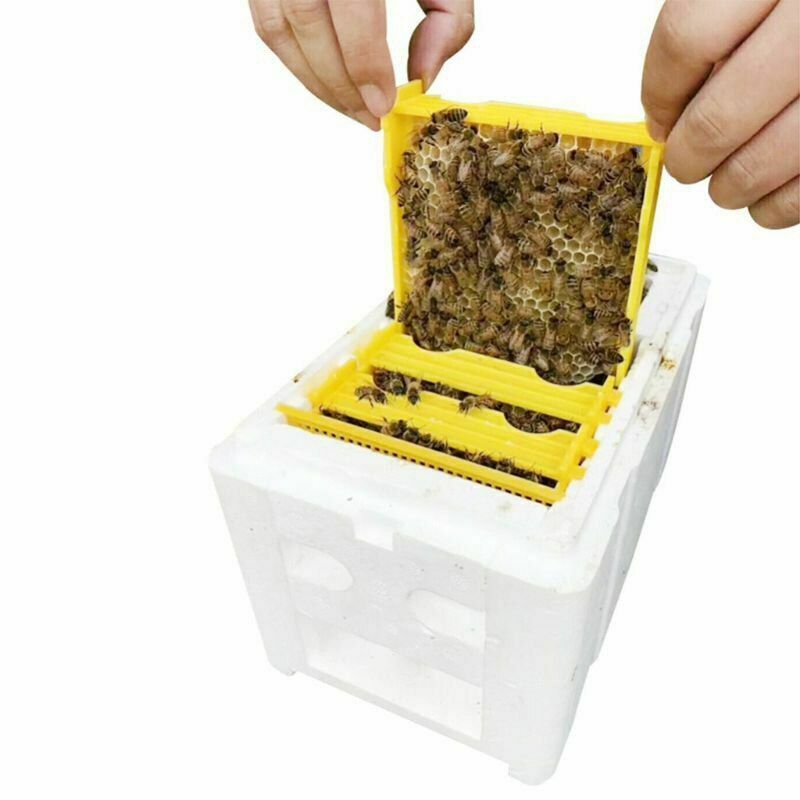 Queen Bee Rearing Mating Hive Tools Equipment Kit Beekeeping Tool Beehive Box