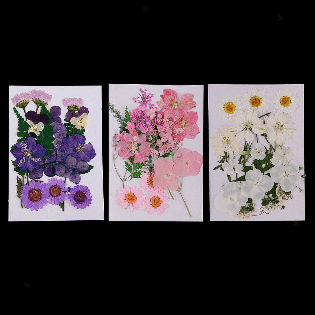 3 Bags Mix Natural Dried Pressed Flowers, Leaves, Crafts And Crafts 2-3.5 Cm