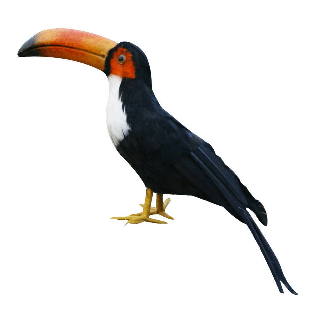 Artificial Black Toucan Bird Realistic Taxidermy Home Garden Decor 35cm #9