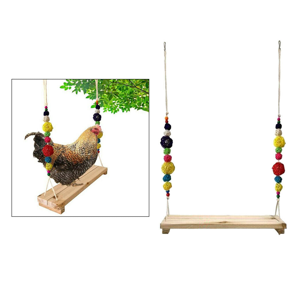 Chicken Swing Perch for Chicken Hens Large Birds Macaws Finches Parakeet