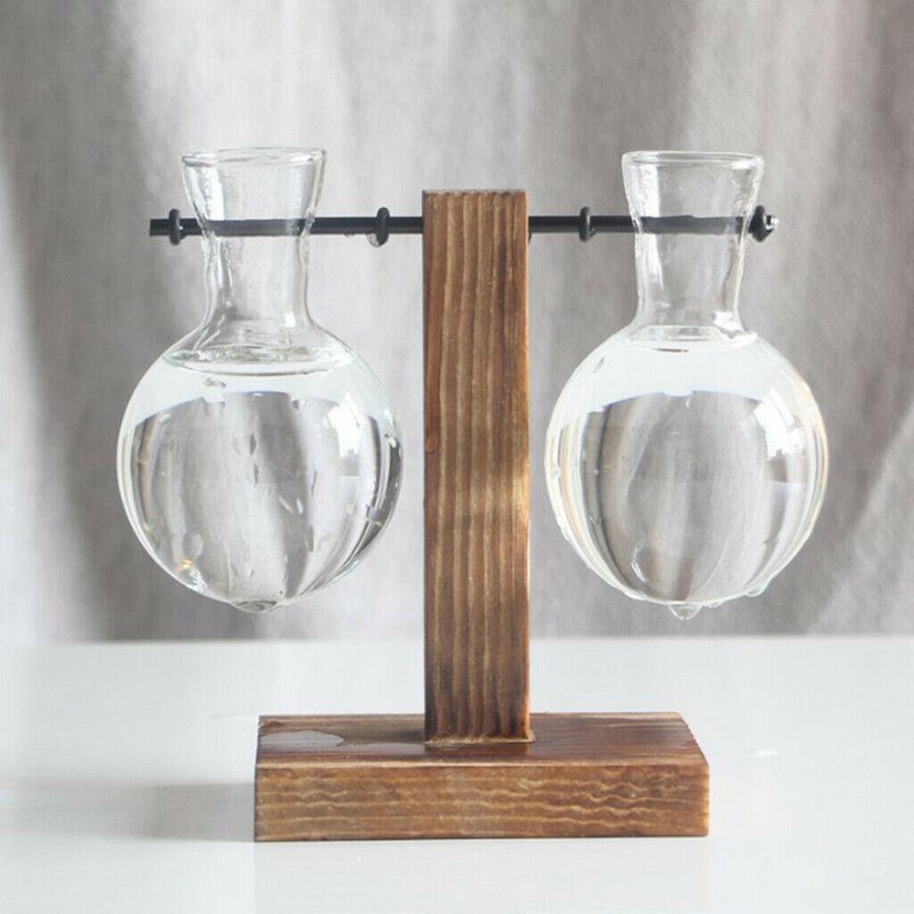 4Pack Rustic Glass Bulb Vase Holder w/ Wood Stand for Hydroponics Plants