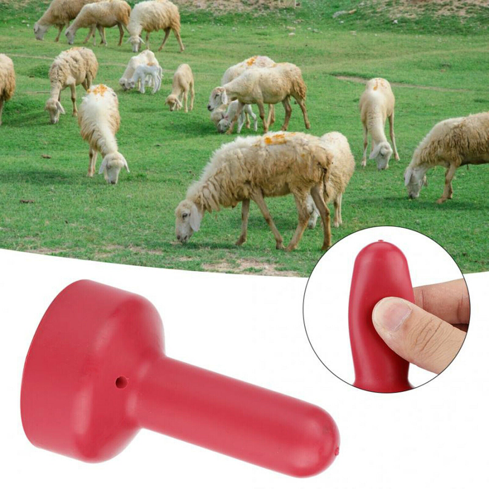 Livestock Nipple for Cattle Lamb Pony Farm Animal Bucket Tools 10.7x6.2cm