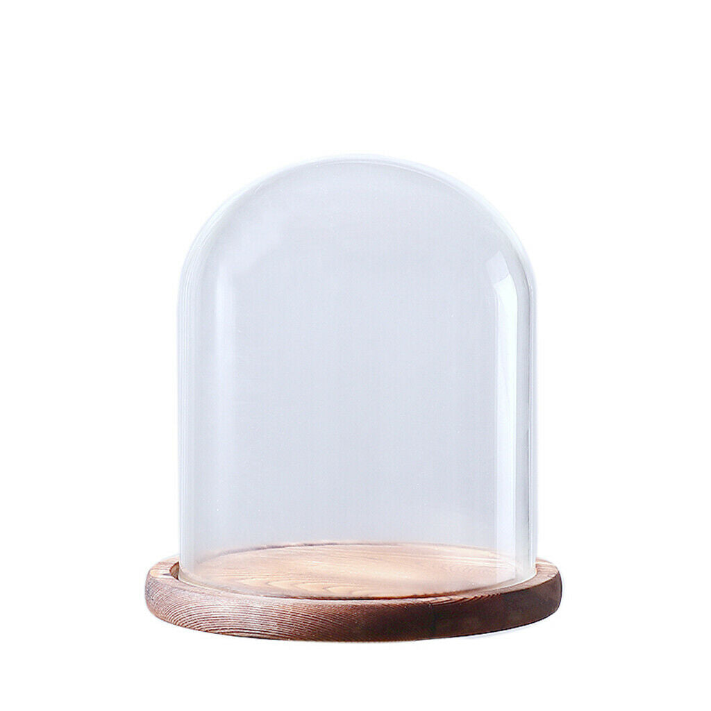 18cm  Transparent Stand Glass Flower Vase Landscape Bottle Ball Vase