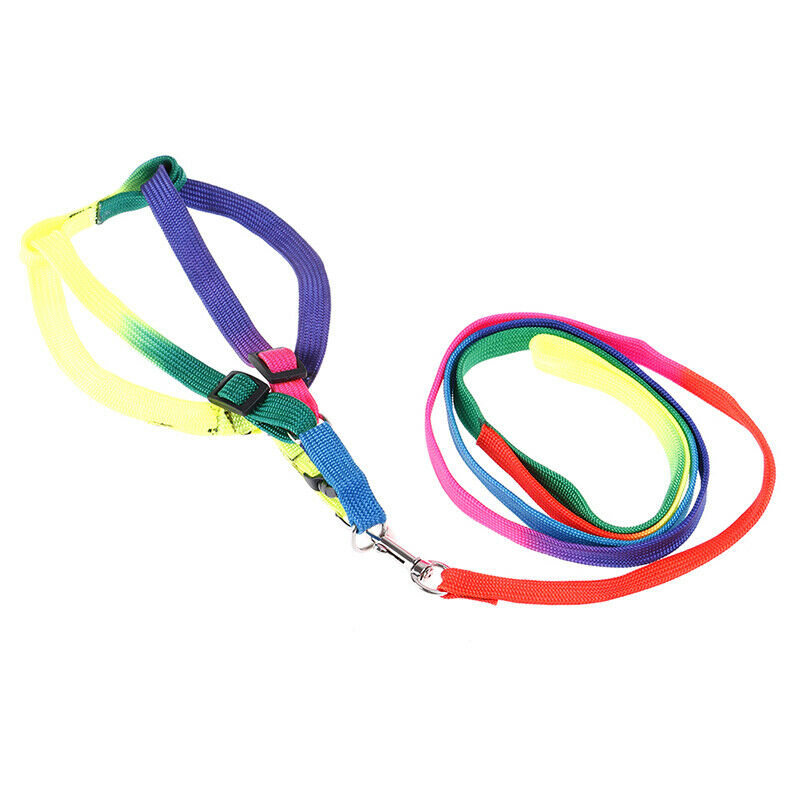 1 Pcs Elastic Rubber Band Tennis Ball Practice Training Belt Line Cord To.l8