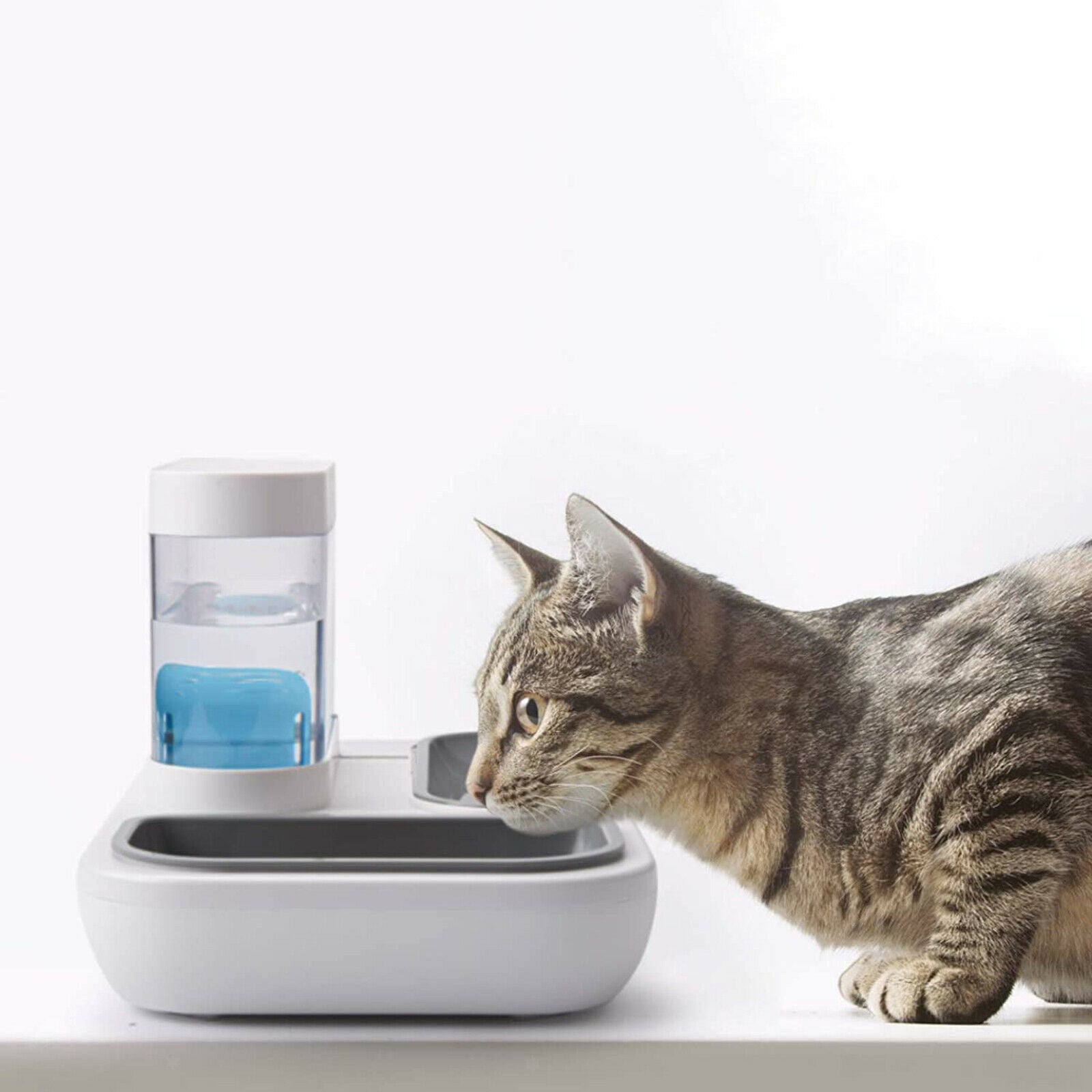 Pets Puppy Water Dispenser Bowl Detachable Drinking Waterer Feeder Dish 1.5L