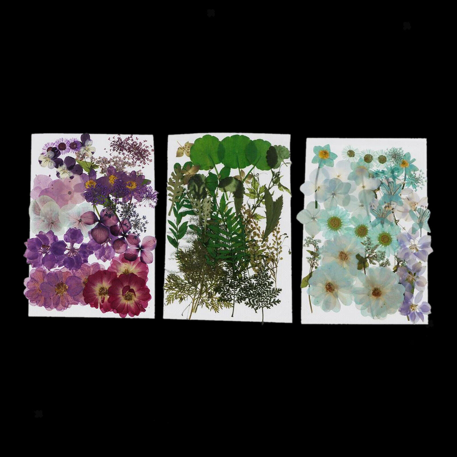 116 Natural Pieces Real Pressed Dried Flowers DIY Album