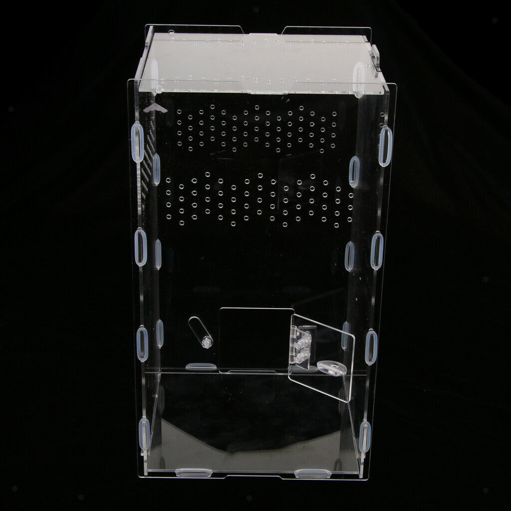 Ventilation & Clear Amphibian Spider Gecko Chameleon Feed DIY Box