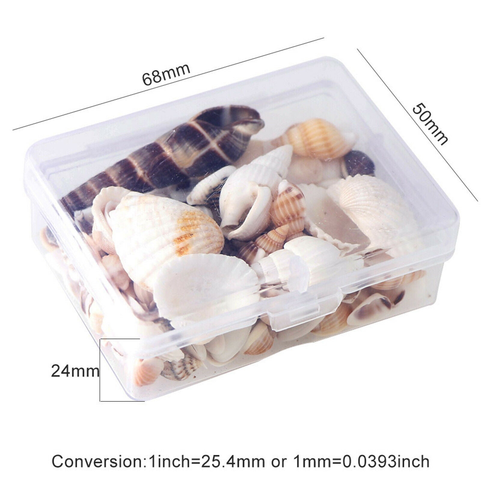 Natural Sea Shell Shells Beach Shells for Aquarium Fish