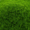 Light Green Grainy Shape Diy Foliage Sponge Leaves  Trees Pattern