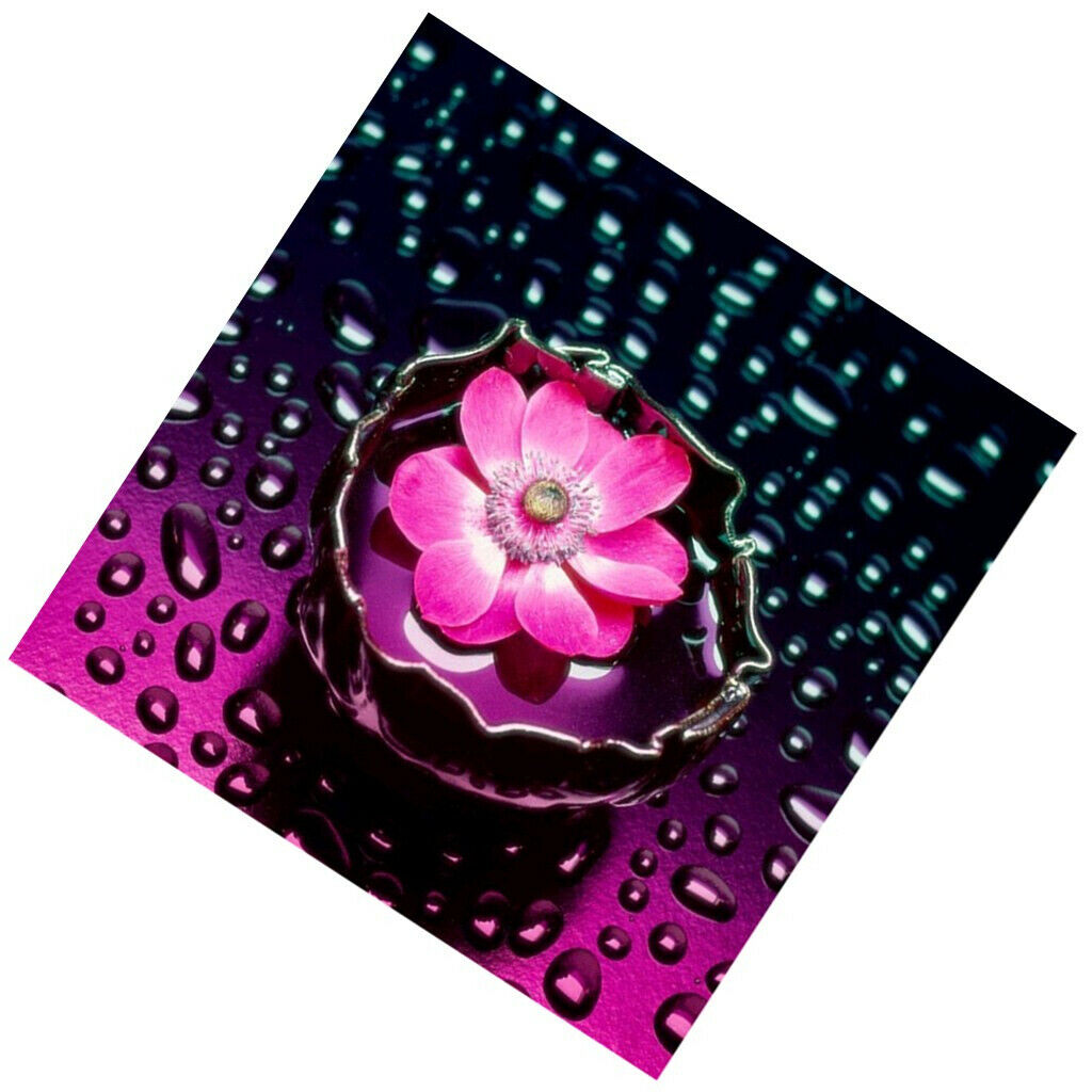 5D DIY Diamond Painting Embroidery Cross Stitch Kits Decor Flower
