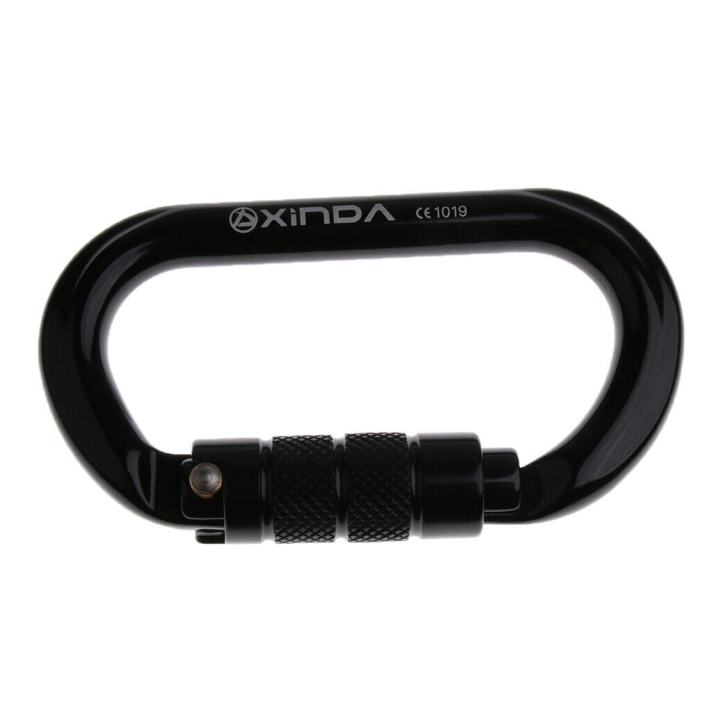 2x Oval Carabiner Climbing Safety Hook Lock D-Shape Buckle Keychain Rings