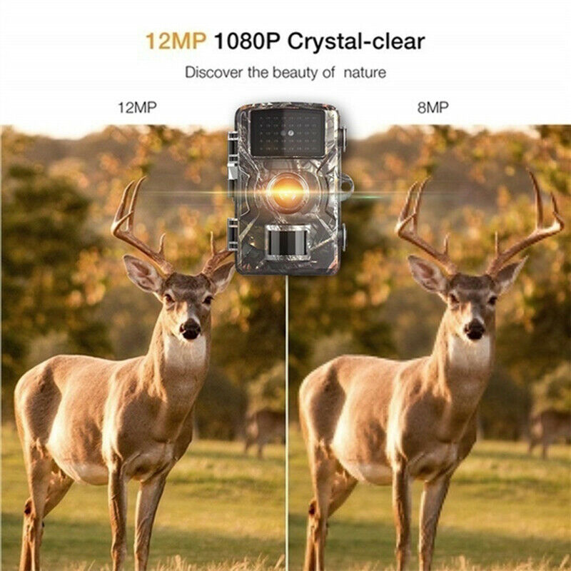 Hunting Trail Camera 1080P Infrared Wildlife Scouting Cam Night Vision IP66