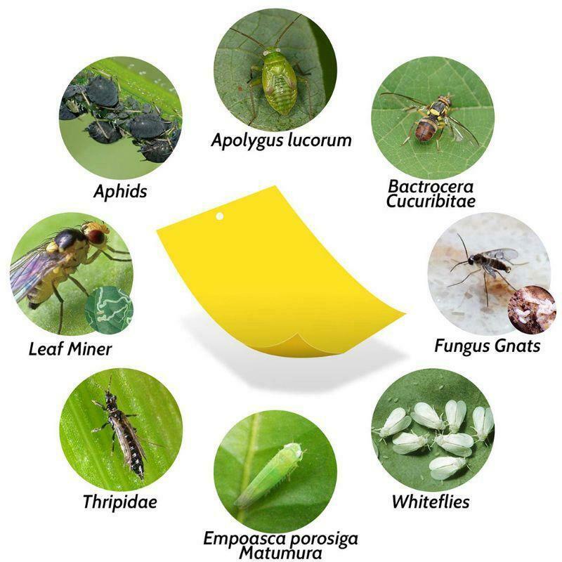 30 Pack Dual-Sided Yellow Sticky Traps for Flying Plant Insect (10x4 Inch, 30pcs