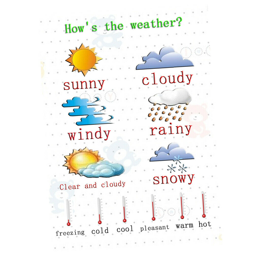 3Pcs Transport Animal &Weather Preschoolers Kids Early Learning Educational