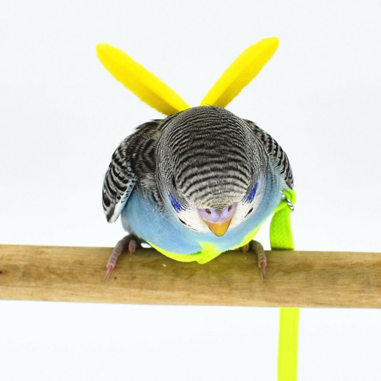 Pet Leash Parrot Bird Adjustable Harness Flying Training Rope Yellow 7mm