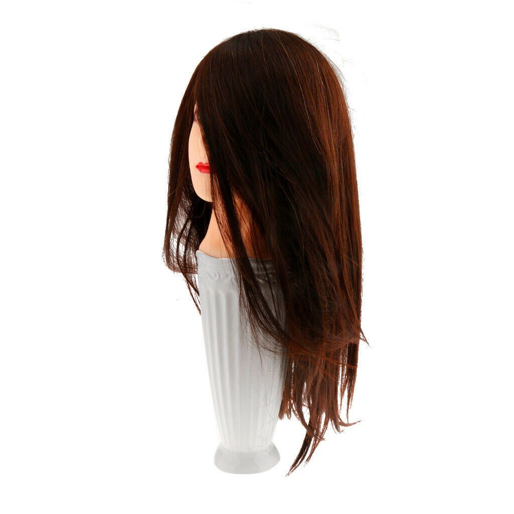 New 30% Human Hair Hairstyle Shaped Dummy To The