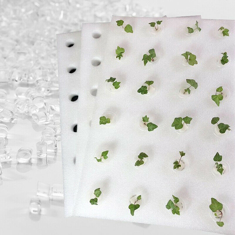 Hydroponic Vegetable Floating Board Soilless Cultivation Equipment Foam B.l8
