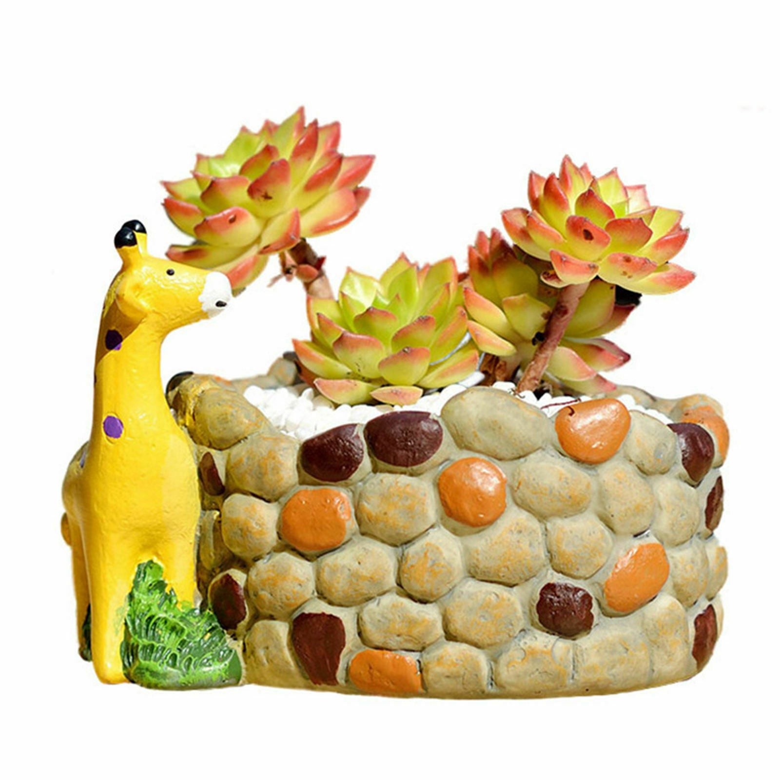 Succulent Plant Pot Creative Mini Animal Flowerpot for Home Home Decoration