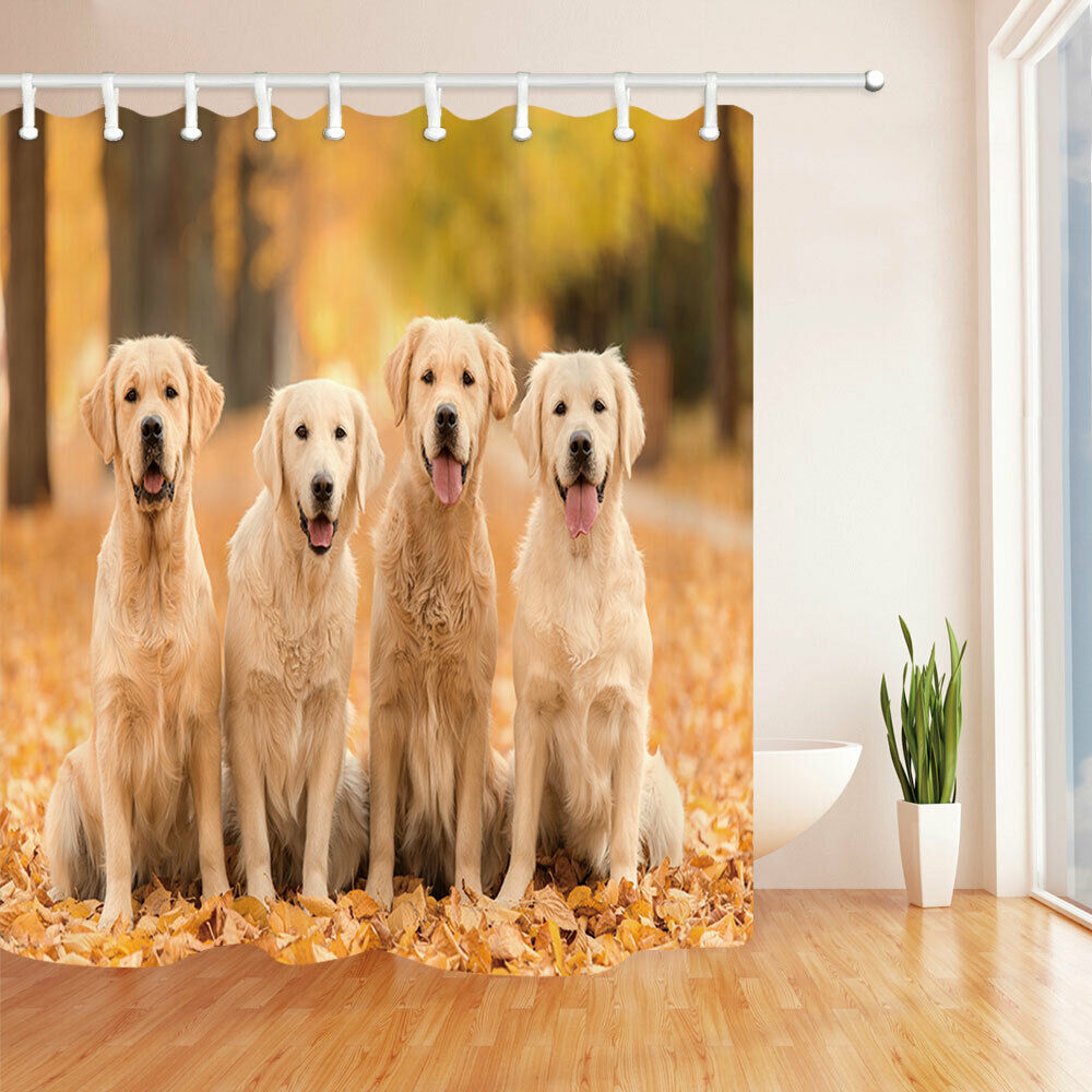 Four Golden Retrievers Fabric Bathroom Shower Curtains & Hooks 71x71"