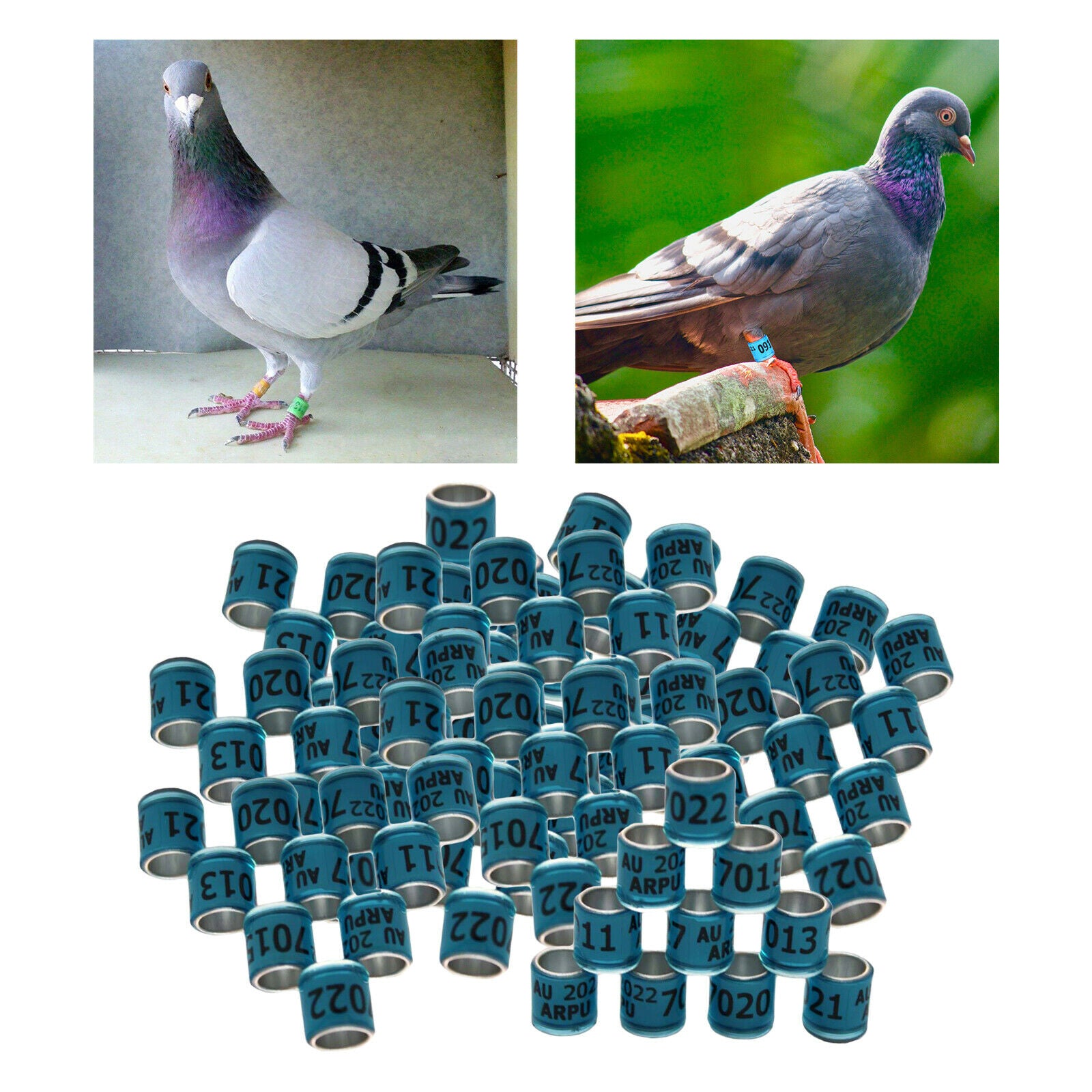 100Pcs 2022 Aluminium Dove Racing Pigeon Foot Rings Bands 8mm Blue